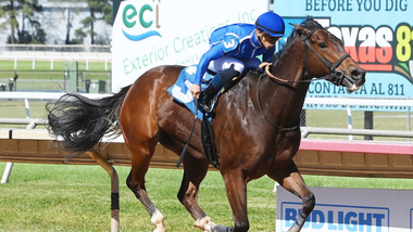 jockey on horse